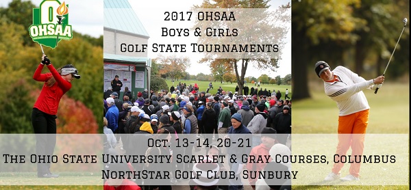 2017 Girls D II State Logo