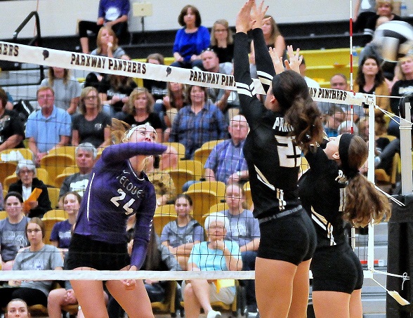 Carley Stone - Ft. Recovery