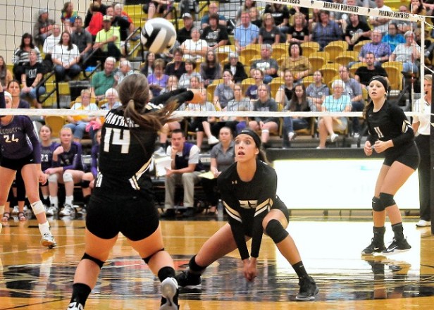 VB - 1 Ft Recovery - Parkway 2017